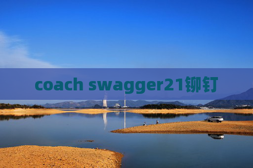 coach swagger21铆钉
